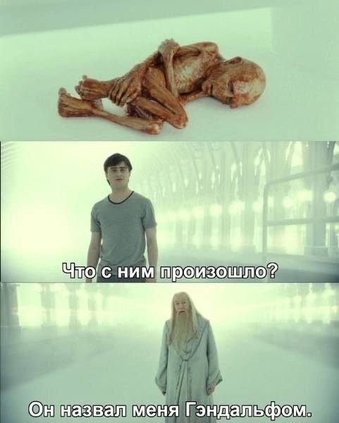 – Что с ним произошло?
– Он назвал меня Гэндальфом..