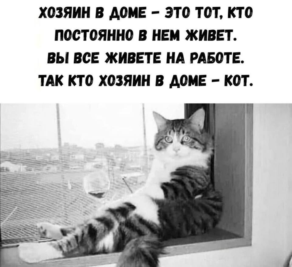 ХОЗЯИН В ДОМЕ — ЭТО ТОТ, КТО ПОСТОЯННО B HЁM ЖИВЁТ. ВЫ ВСЕ ЖИВЁТЕ НА РАБОТЕ. ТАК ЧТО ХОЗЯИН В ДОМЕ — КОТ.