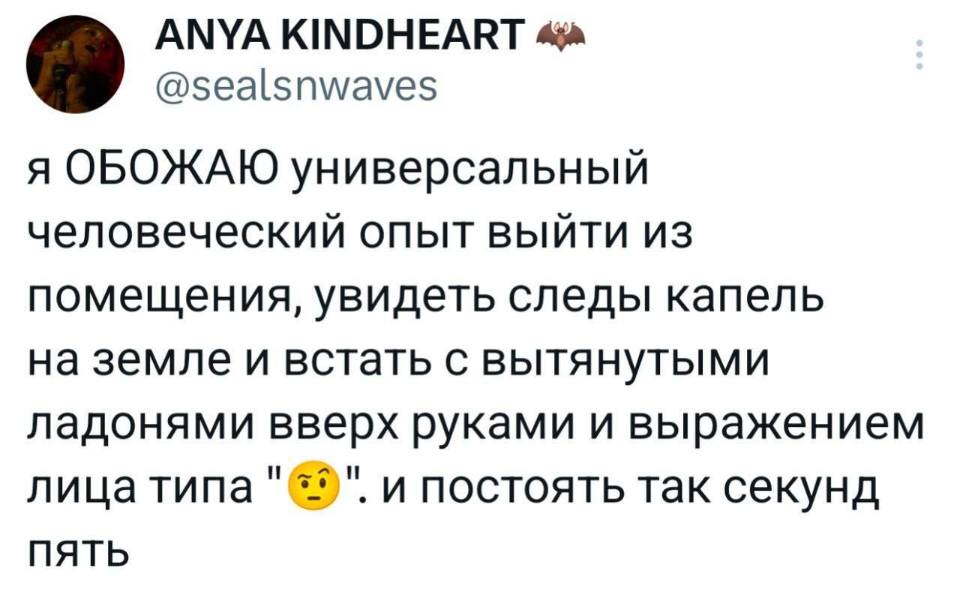 Я ОБОЖАЮ универсальный человеческий опыт выйти из помещения, увидеть следы капель на земле и встать с вытянутыми ладонями вверх руками и выражением лица типа «о_О». и постоять так секунд пять.