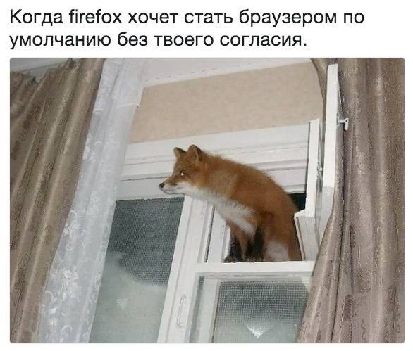 Когда Firefox хочет стать браузером по умолчанию без твоего согласия.