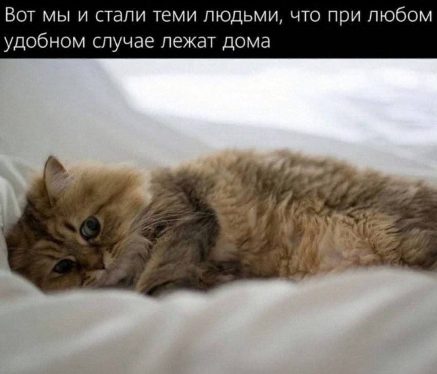 *Вот мы и стали теми людьми, что при любом удобном случае лежат дома*