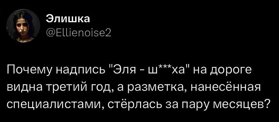 Почему надпись «Эля – ш***ха» на дороге видна третий год, а разметка, нанесённая специалистами, стёрлась за пару месяцев?