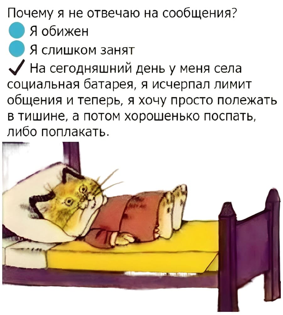 Почему я не отвечаю на сообщения?
Я обижен
Я слишком занят
На сегодняшний день у меня села социальная батарея, я исчерпал лимит общения и теперь, я хочу просто полежать в тишине, а потом хорошенько поспать, либо поплакать.