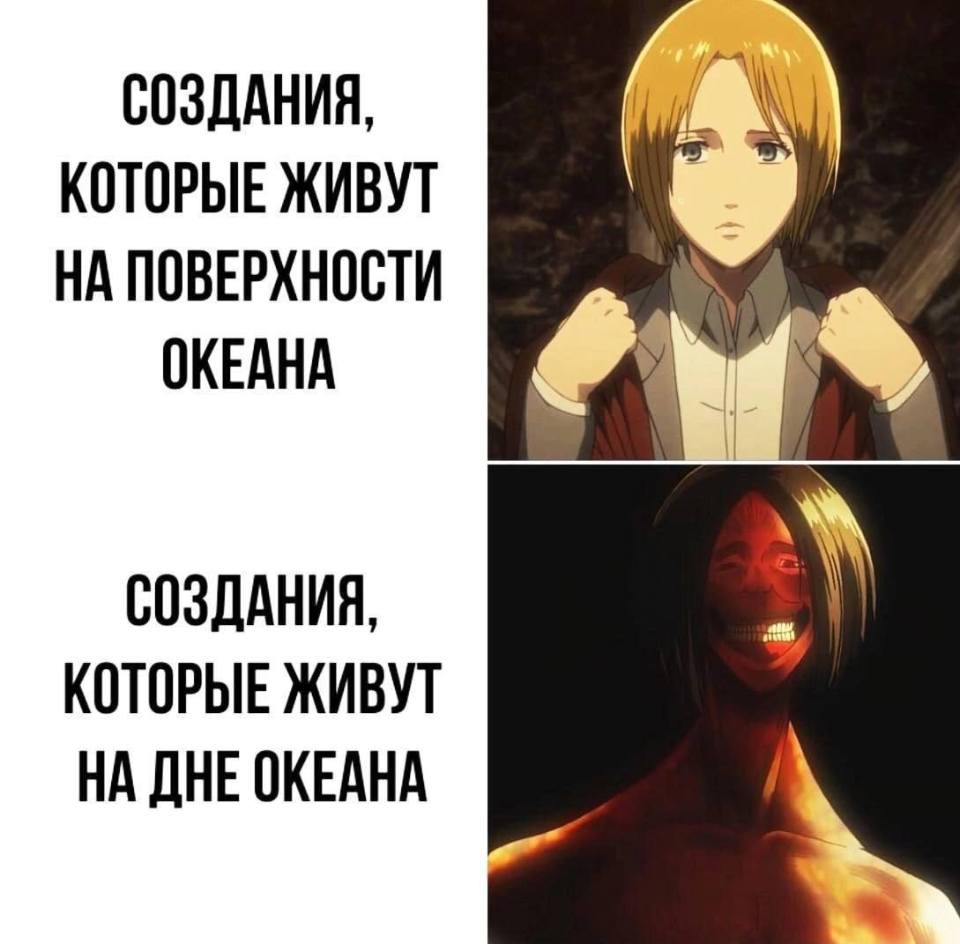 *СОЗДАНИЯ, КОТОРЫЕ ЖИВУТ НА ПОВЕРХНОСТИ OKEAHA*
*СОЗДАНИЯ, КОТОРЫЕ ЖИВУТ НА ДНЕ ОКЕАНА*