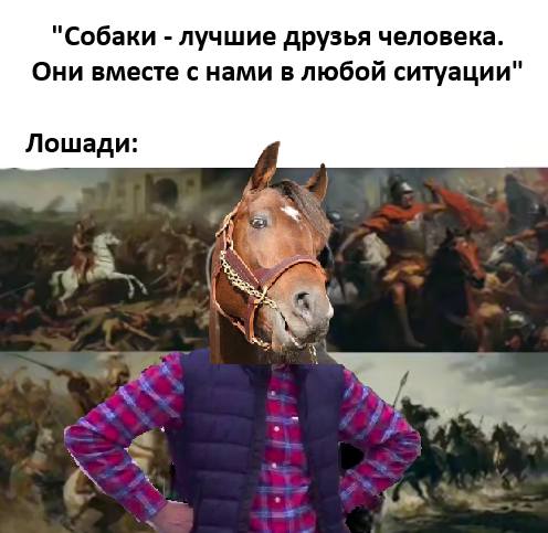 «Собаки – лучшие друзья человека. Они вместе с нами в любой ситуации»
Лошади: Ну да, ну да...