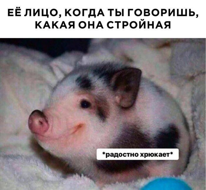 *ЕЁ ЛИЦО, КОГДАТЫ ТЫ ВОРИШЬ, КАКАЯ ОНА СТРОИНАЯ*
*Радостно хрюкает*