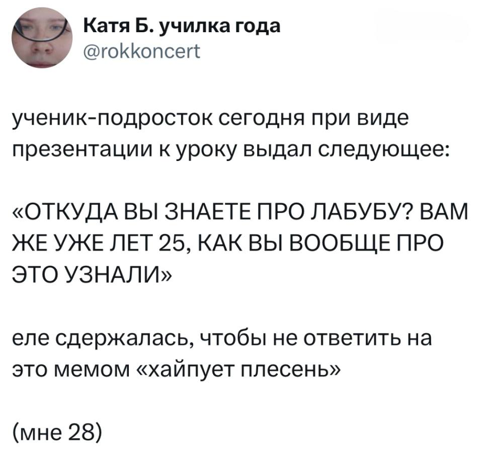 Ученик-подросток сегодня при виде презентации к уроку выдал следующее: «ОТКУДА ВЫ ЗНАЕТЕ ПРО ЛАБУБУ? ВАМ ЖЕ УЖЕ ЛЕТ 25, КАК ВЫ ВООБЩЕ ПРО ЭТО УЗНАЛИ»
Еле сдержалась, чтобы не ответить на это мемом «хайпует плесень» (мне 28)