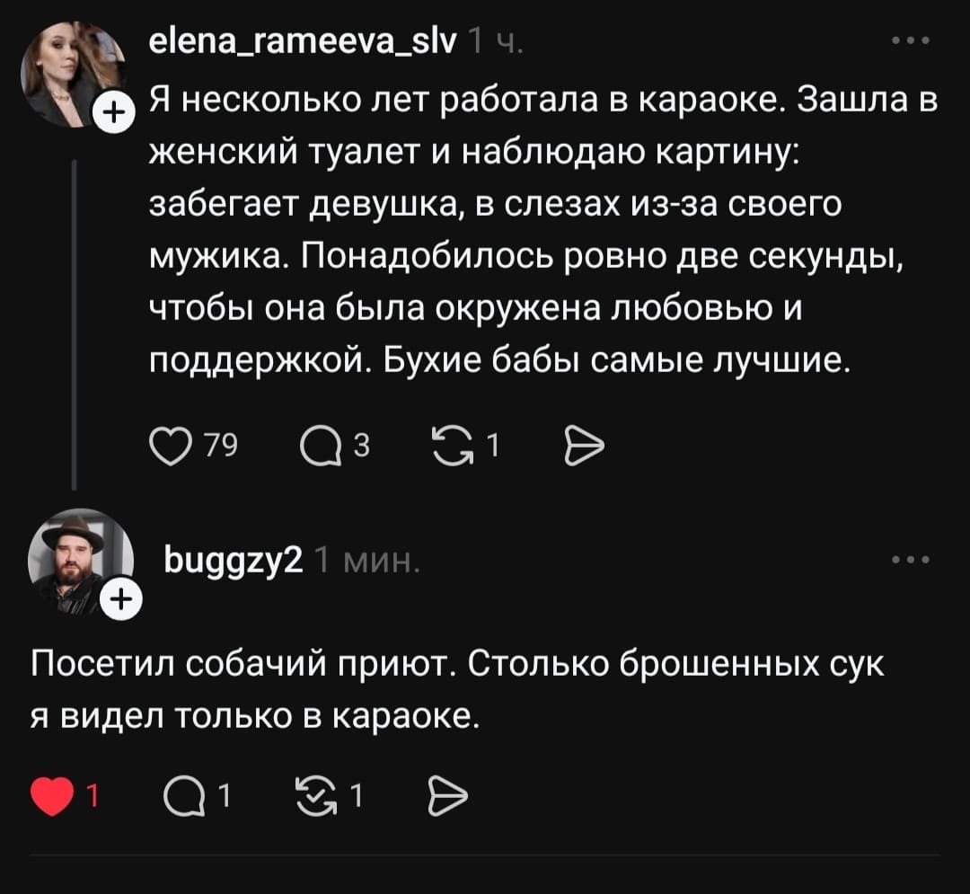 – Я несколько лет работала в караоке. Зашла в женский туалет и наблюдаю картину: забегает девушка, в слезах из-за своего мужика. Понадобилось ровно две секунды, чтобы она была окружена любовью и поддержкой. Бухие бабы самые лучшие.
– Посетил собачий приют. Столько брошенных сук я видел только в караоке.