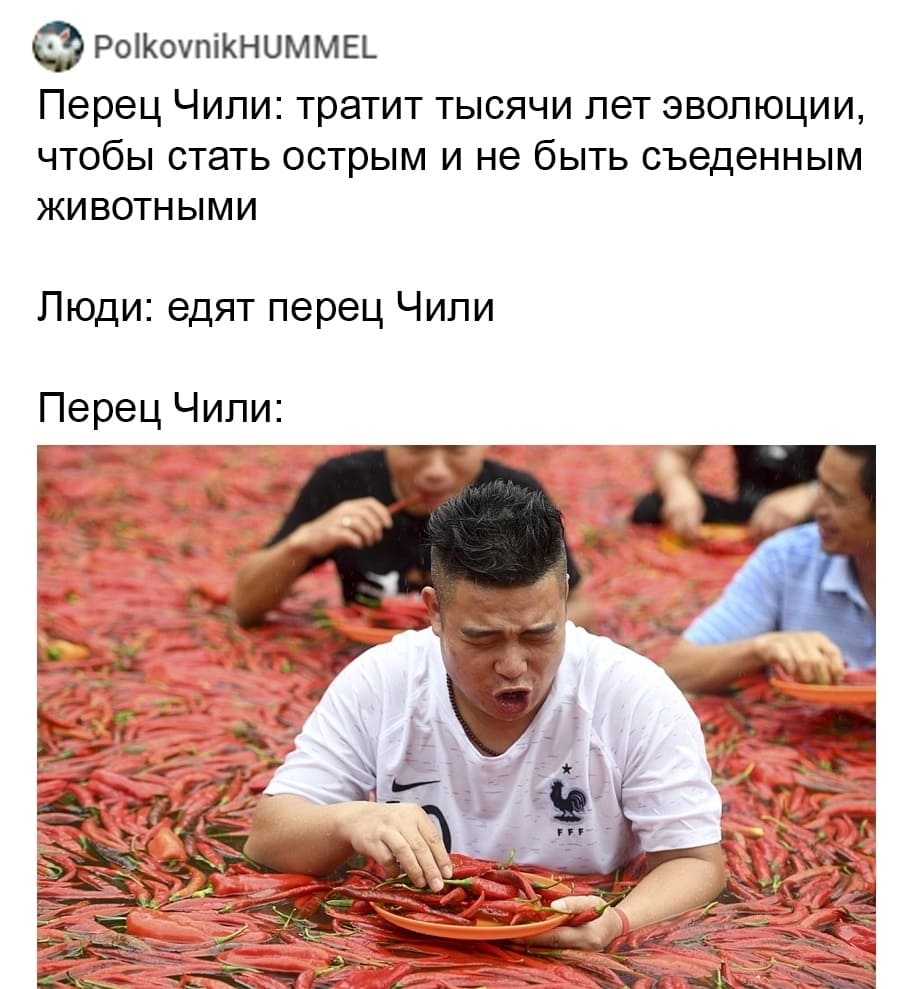 Перец Чили: тратит тысячи лет эволюции, чтобы стать острым и не быть съеденным животными.
Люди: *Едят перец Чили*
Перец Чили: *Блин*