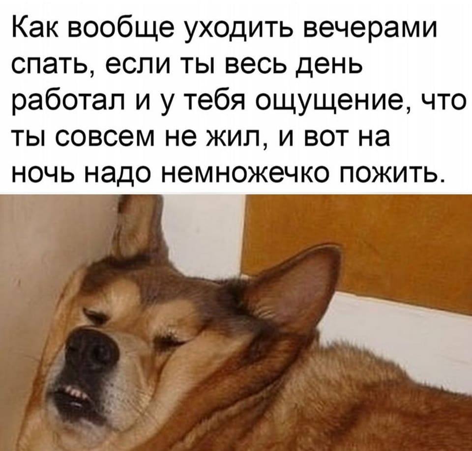 Как вообще уходить вечерами спать, если ты весь день работал и у тебя ощущение, что ты совсем не жил, и вот на ночь надо немножечко пожить.