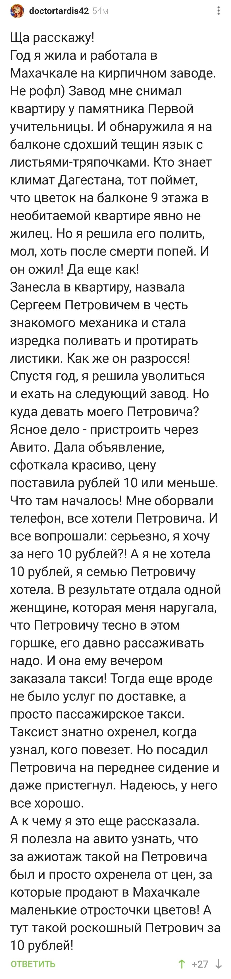 Ща расскажу! Год я жила и работала в Махачкале на кирпичном заводе. Не рофл) Завод мне снимал квартиру у памятника Первой учительницы. И обнаружила я на балконе сдохший тещин язык с листьями-тряпочками. кто знает климат Дагестана, тот поймет, что цветок на балконе 9 этажа в необитаемой квартире явно не жилец, Но я решила его полить, мол. хоть после смерти попей. И он ожил! да еще как! Занесла в квартиру, назвала Сергеем Петровичем в честь знакомого механика и стала изредка поливать и протирать листики как же он разросся! Спустя год я решила уволиться и ехать на следующий завод. Но куда девать моего Петровича? Ясное дело - пристроить через авито. Дала Объявление, сфоткала красиво. цену поставила рублей 10 или меньше, Что там началось! Мне оборвали телефон, все хотели Петровича. И все вопрошали: серьезно, я ХОЧУ за него 10 рублей?! А я не хотела 10 рублей, я семью Петровичу хотела. В результате отдала одной женщине, которая меня наругала. что Петровичу тесно в этом горшке, его давно рассаживать надо. И она ему вечером заказала такси! Тогда еще вроде не было услуг по доставке, а просто пассажирское такси. Таксист знатно охренел, когда узнал. кого повезет. но посадил Петровича на переднее сидение и даже пристегнул. Надеюсь, у него все хорошо, А к чему я это еще рассказала. Я полезла на авито узнать, что за ажиотаж такой на Петровича был и просто охренела от цен, за которые продают в Махачкале маленькие отросточки цветов! А тут такой роскошный Петрович за 10 рублей!