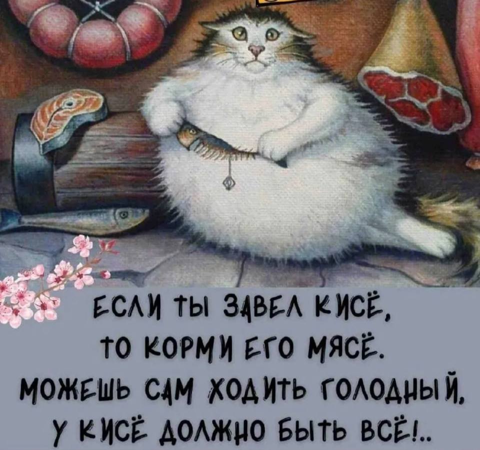 Если ты завёл кисё,
то корми его мясё.
Можешь сам ходить голодный,
у кисё должно быть всё!..