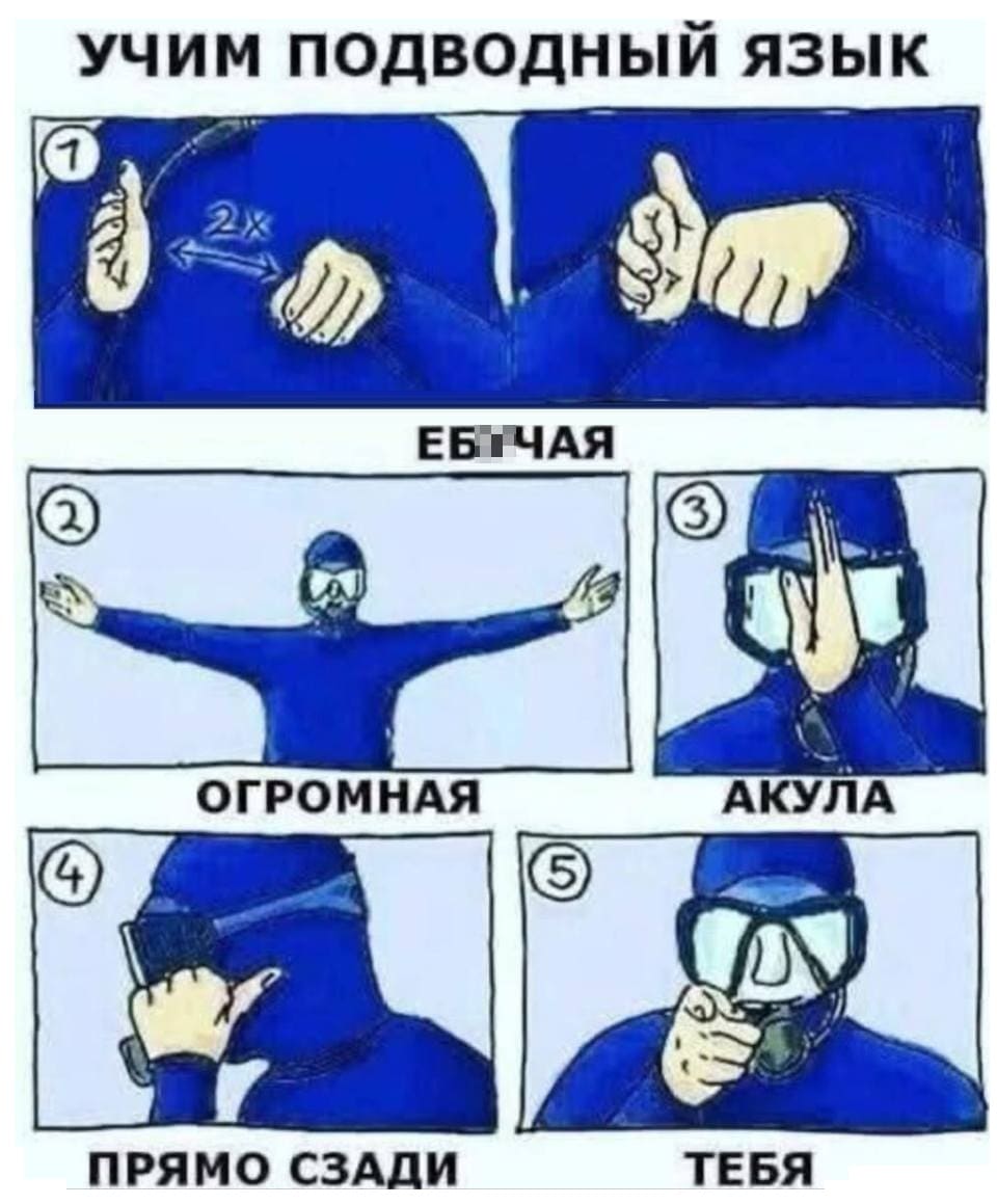 УЧИМ ПОДВОДНЫЙ ЯЗЫК
ЕБЧАЯ
ОГРОМНАЯ
АКУЛА
ПРЯМО СЗАДИ
ТЕБЯ