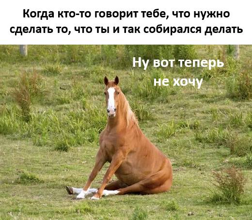 *Когда кто-то говорит тебе, что нужно сделать то, что ты и так собирался делать*
– Ну вот теперь не хочу.