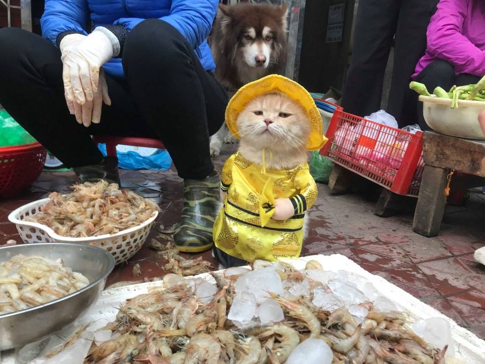 – Берите, не пожалеете!⁠⁠