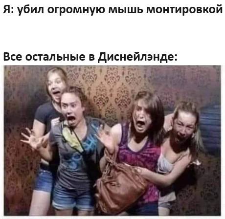 Я: убил огромную мышь монтировкой
*Все остальные в Диснейлэнде*