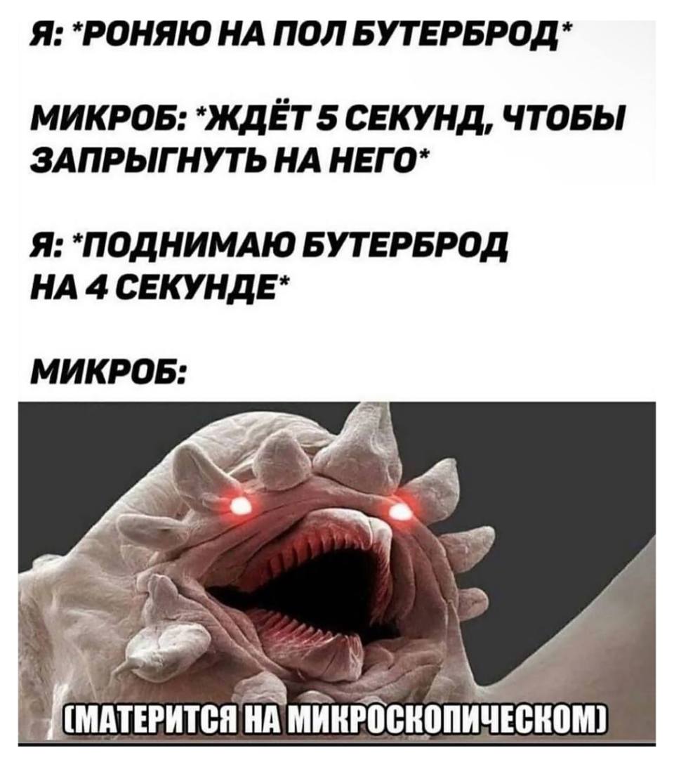 Я: *РОНЯЮ НА ПОЛ БУТЕРБРОД*
МИКРОБ: *ЖДЁТ 5 СЕКУНД, ЧТОБЫ ЗАПРЫГНУТЬ НА НЕГО*
Я: *ПОДНИМАЮ БУТЕРБРОД НА 4 СЕКУНДЕ*
*МИКРОБ*
