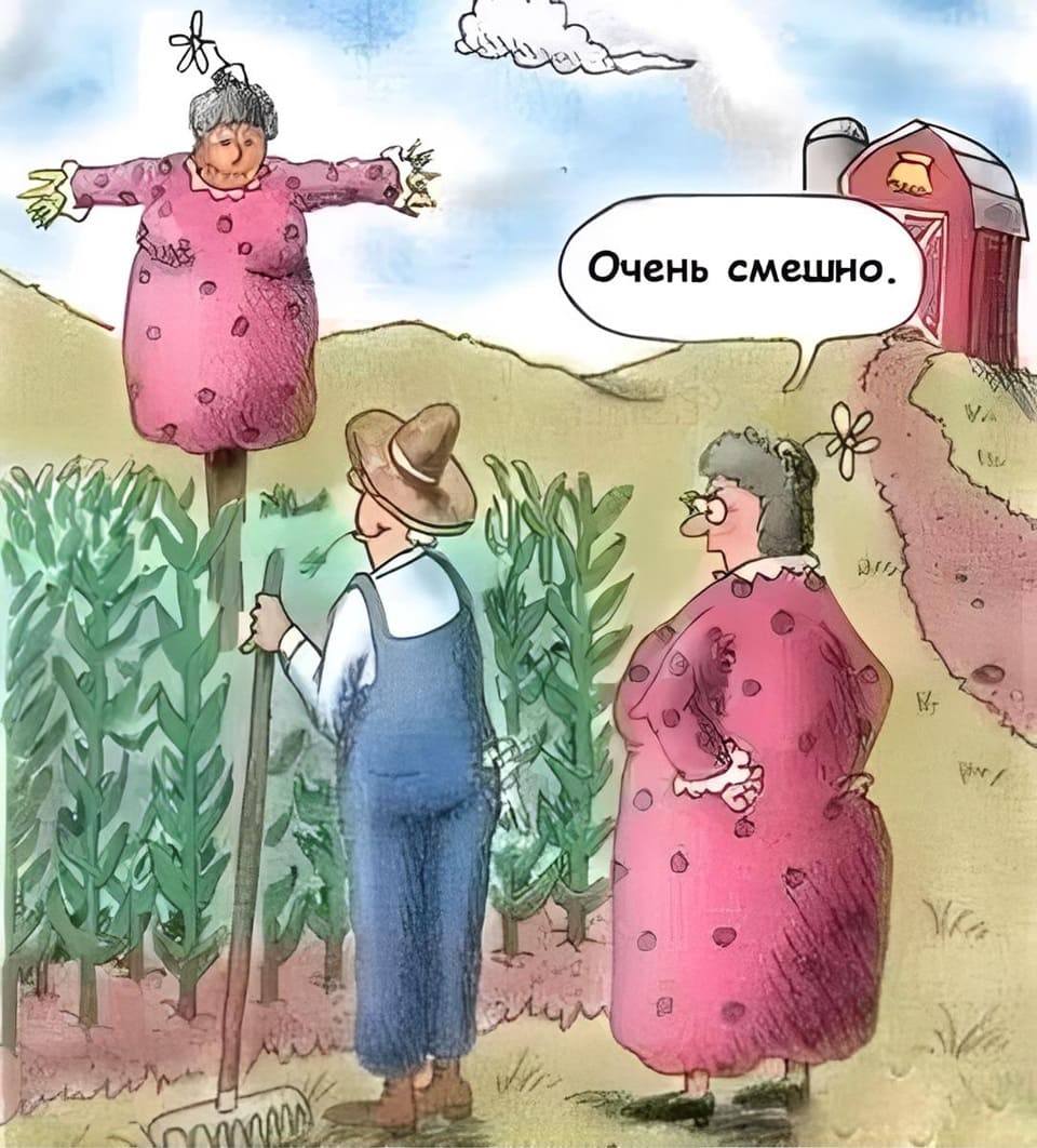 *Жена смотрит на пугало сделанное мужем у них на огороде*
– Очень смешно!