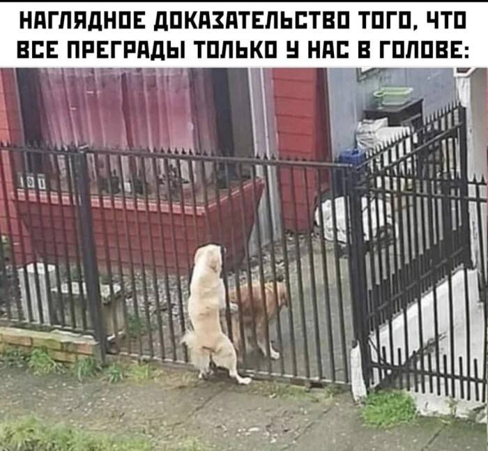 *НАГЛЯДНОЕ ДОКАЗАТЕЛЬСТВО ТОГО, ЧTO ВСЕ ПРЕГРАДЫ ТОЛЬКО У НАС В ГОЛОВЕ*