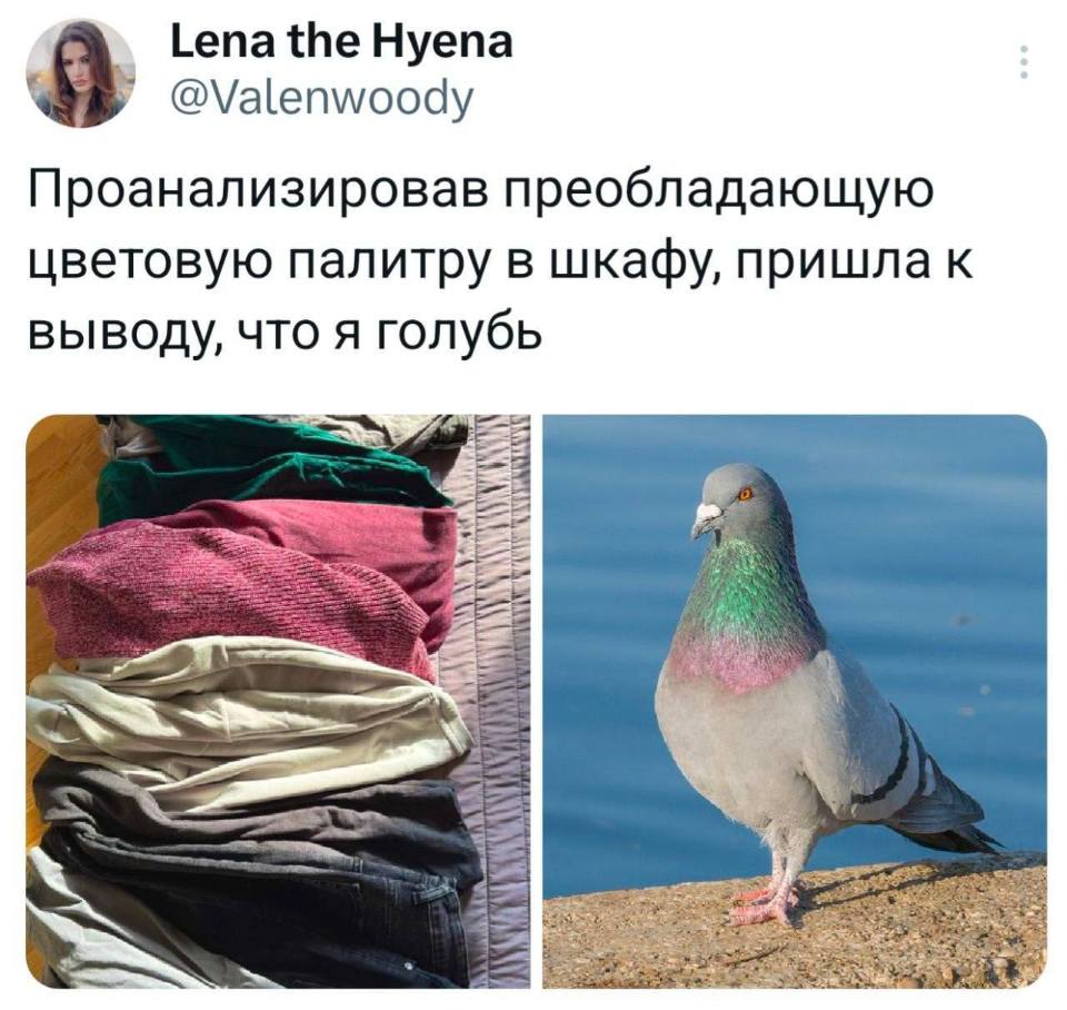 – Проанализировав преобладающую цветовую палитру в шкафу, пришла к выводу, что я голубь.