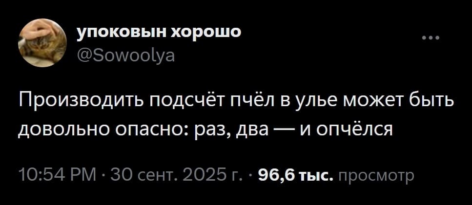 Производить подсчёт пчёл в улье может быть довольно опасно: раз, два — и опчёлся.