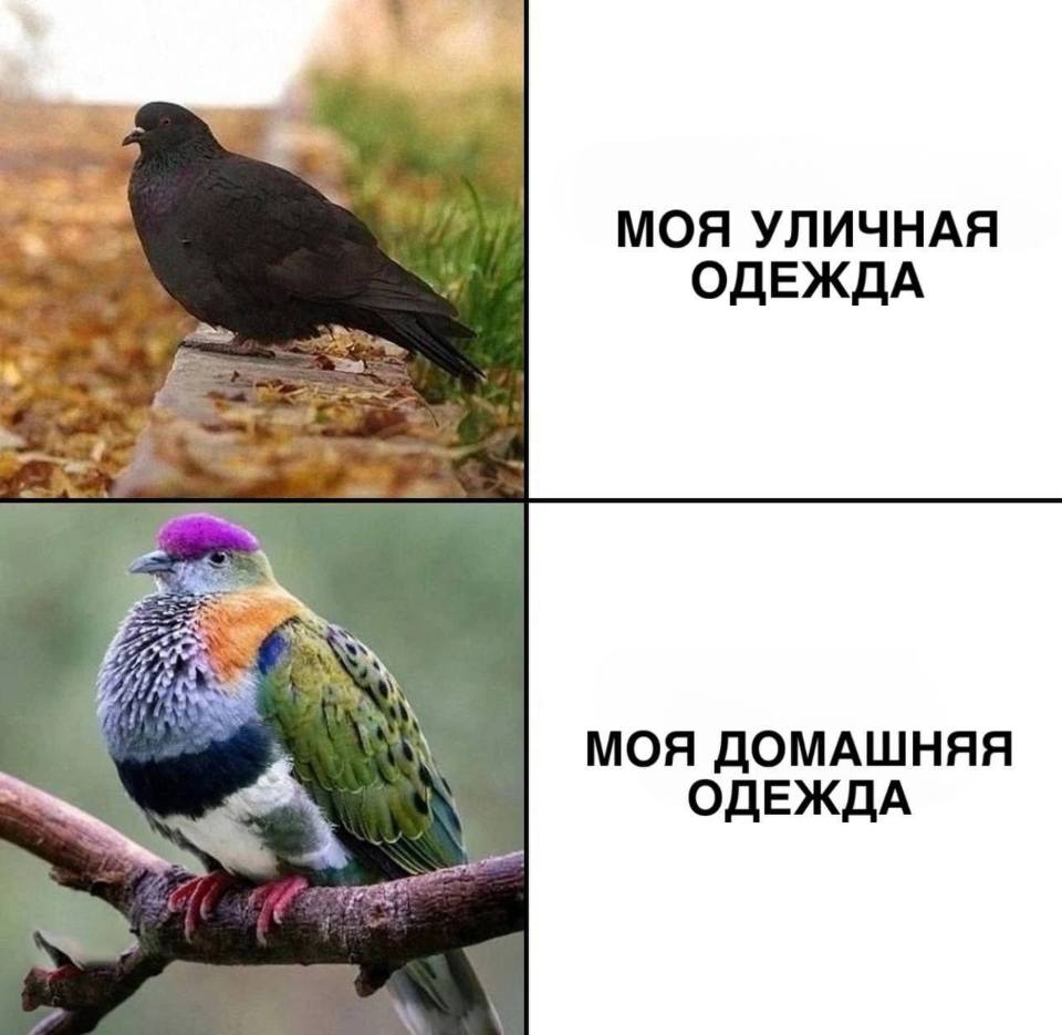 *Моя уличная одежда*
*Моя домашняя одежда*