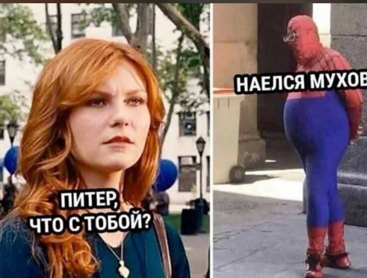 – Питер, что с тобой?
– Наелся мухов.