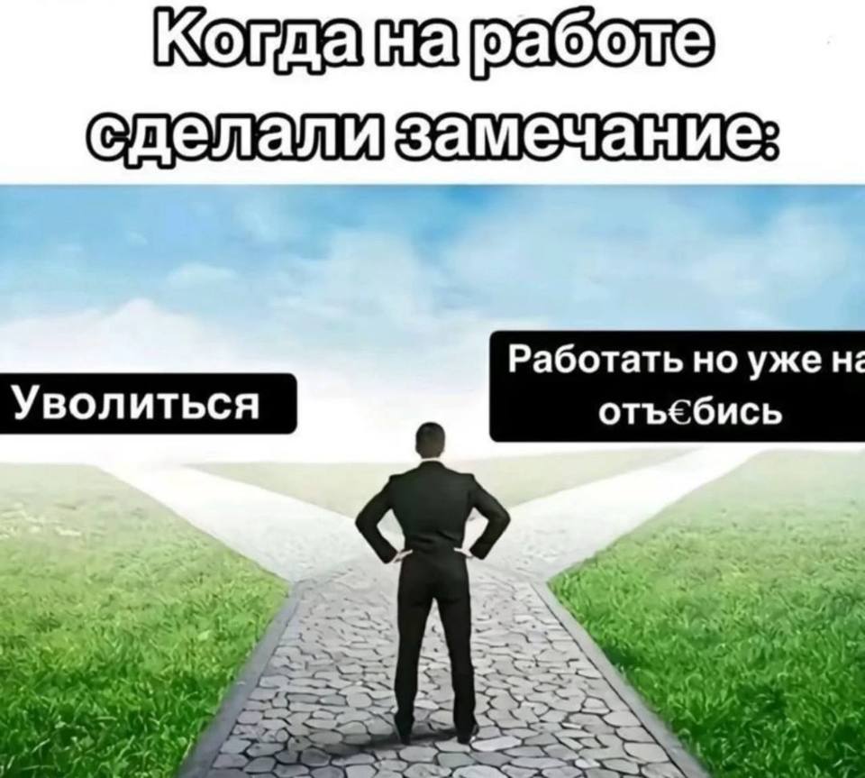 Когда на работе сделали замечание:
*Уволиться или Работать, но уже на отъ*бись*