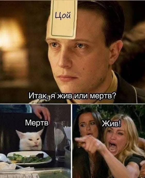 *Цой жив или мёртв?*