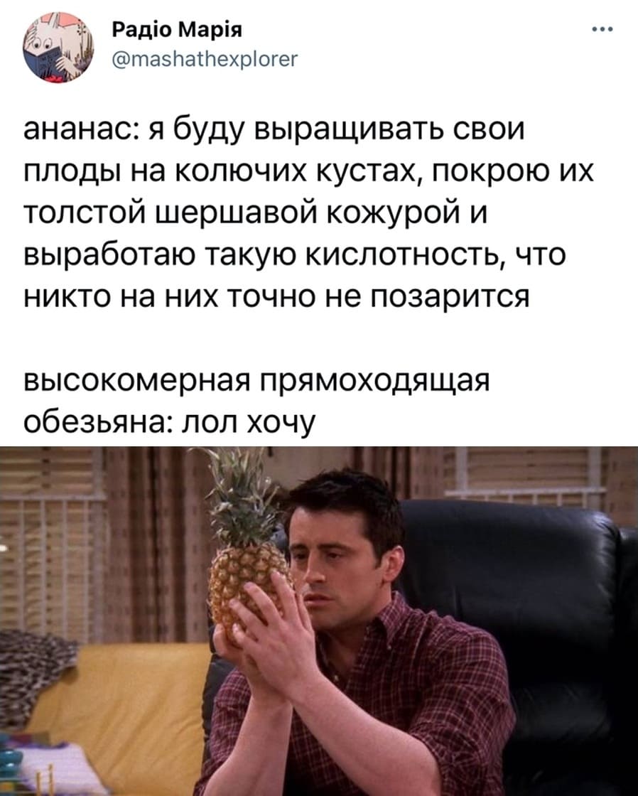 Ананас: я буду выращивать свои плоды на колючих кустах, покрою их толстой шершавой кожурой и выработаю такую кислотность, что никто на них точно не позарится.
Высокомерная прямоходящая обезьяна: лол хочу!