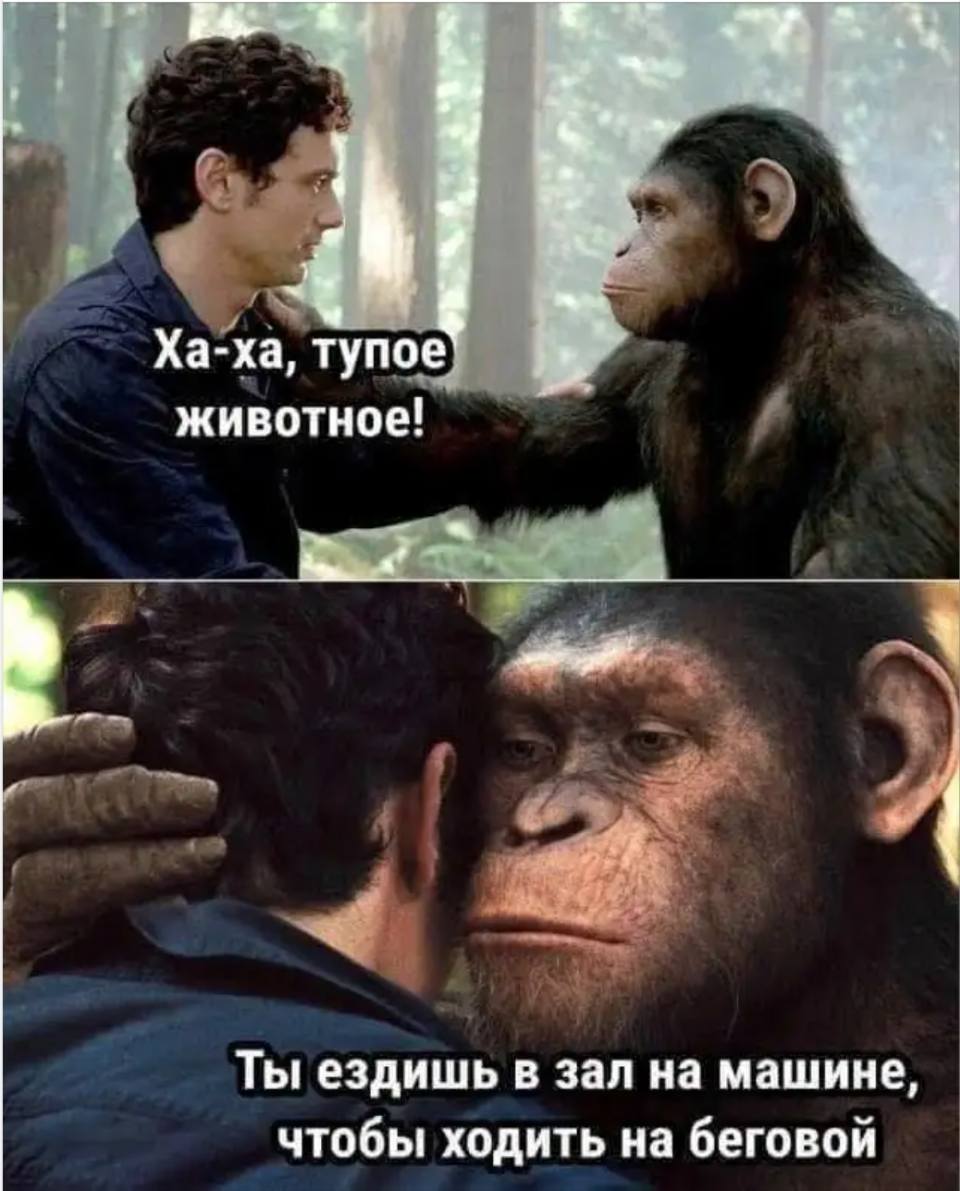 – Ха-ха, тупое животное!
– Ты ездишь в зал на машине, чтобы ходить на беговой.