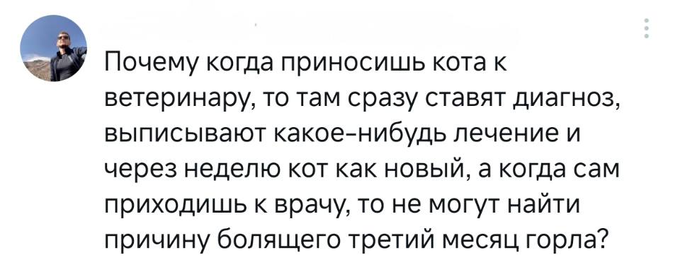 Почему когда приносишь кота к ветеринару, то там сразу ставят диагноз, выписывают какое-нибудь лечение и через неделю кот как новый, а когда сам приходишь к врачу, то не могут найти причину болящего третий месяц горла?