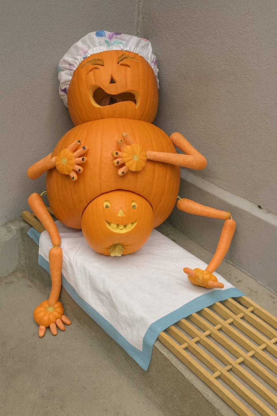 *Тыквенные роды*