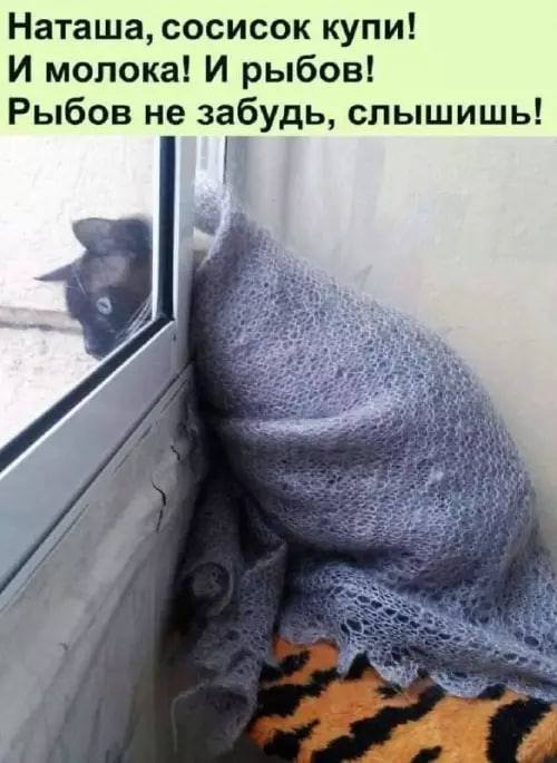 Наташа, сосисок купи! И молока! И рыбов! Рыбов не забудь, слышишь!
