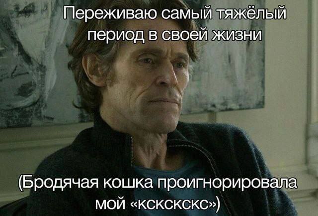 Переживаю самый тяжёлый период в своей жизни.
*Бродячая кошка проигнорировала мой «кскскскс»*