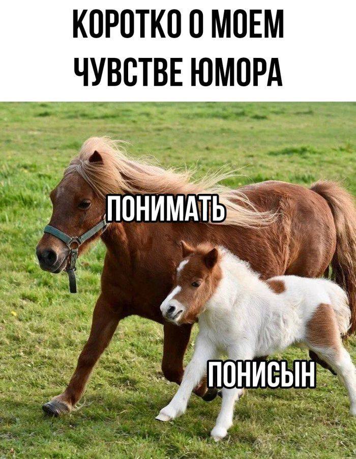 *Коротко о моём чувстве юмора*
*Понимать и Понисын*