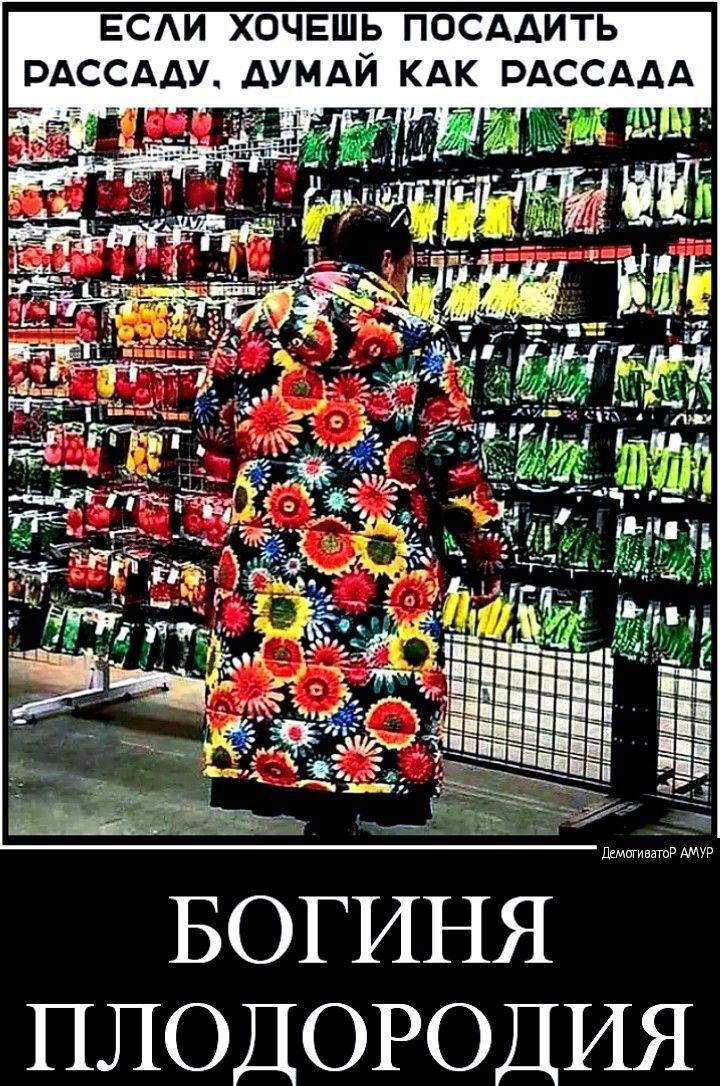 ЕСЛИ ХОЧЕШЬ ПОСАДИТЬ РАССАДУ. ДУМАЙ КАК РАССАДА!
*Богиня плодородия*