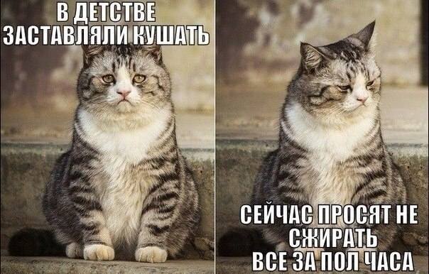 *В детстве заставили кушать*
*Сейчас просят не сжирать всё за пол часа*