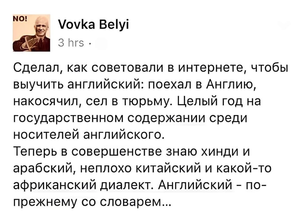Сделал, как советовали в интернете, чтобы выучить английский: поехал в Англию, накосячил, сел в тюрьму. Целый год на государственном содержании среди носителей английского.
Теперь в совершенстве знаю хинди и арабский, неплохо китайский и какой-то африканский диалект. Английский – по-прежнему со словарём...