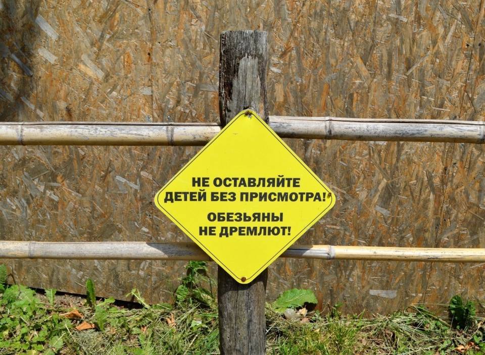 НЕ ОСТАВЛЯЙТЕ ДЕТЕЙ БЕЗ ПРИСМОТРА!
ОБЕЗЬЯНЫ НЕ ДРЕМЛЮТ!