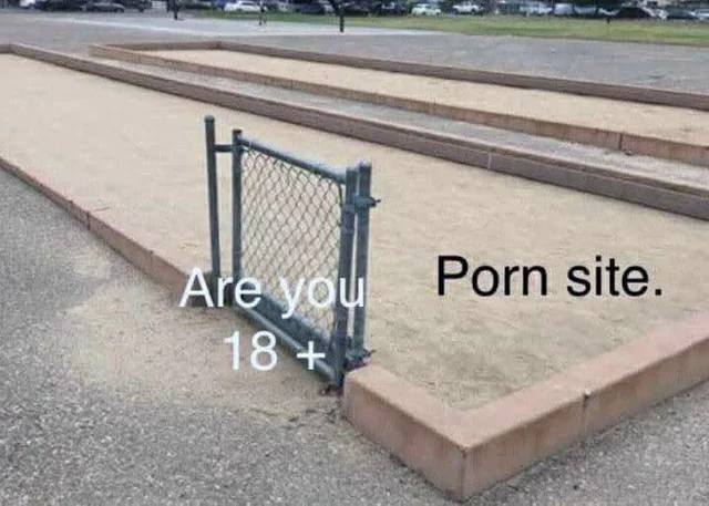*Are you 18+ Porn site*