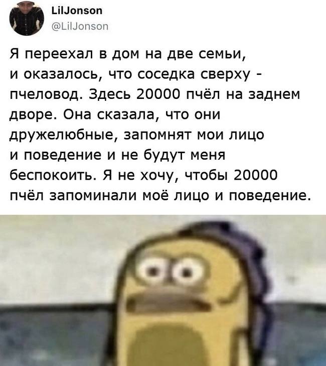 Я переехал в дом на две семьи, и оказалось, что соседка сверху — пчеловод. Здесь 20000 пчёл на заднем дворе. Она сказала, что они дружелюбные, запомнят мои лицо и поведение и не будут меня беспокоить. Я не хочу, чтобы 20000 пчёл запоминали моё лицо и поведение.