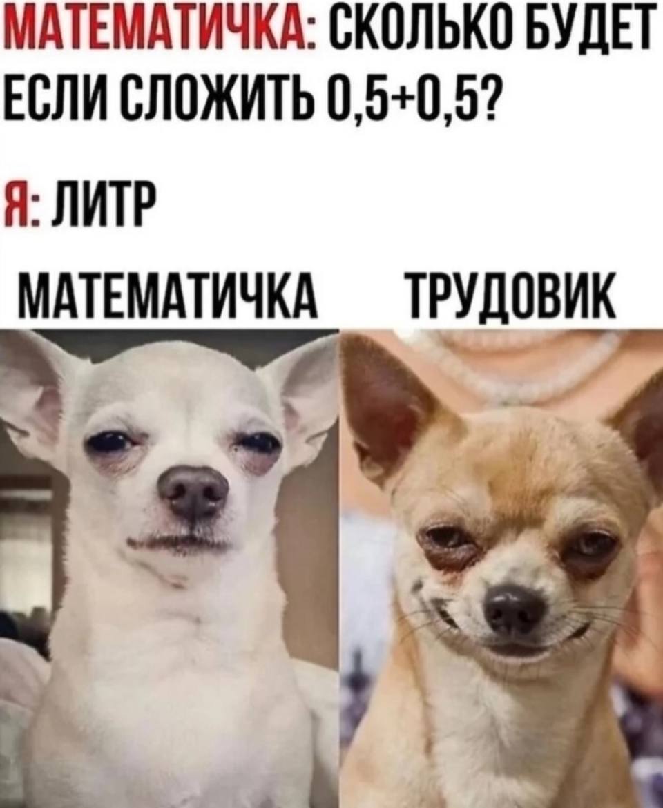 МАТЕМАТИЧКА: СКОЛЬКО БУДЕТ ЕСЛИ СЛОЖИТЬ 0,5+0,5?
Я: ЛИТР.
*МАТЕМАТИЧКА И ТРУДОВИК*