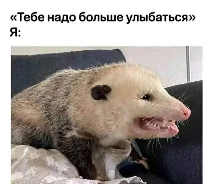 «Тебе надо больше улыбаться»
*Я*