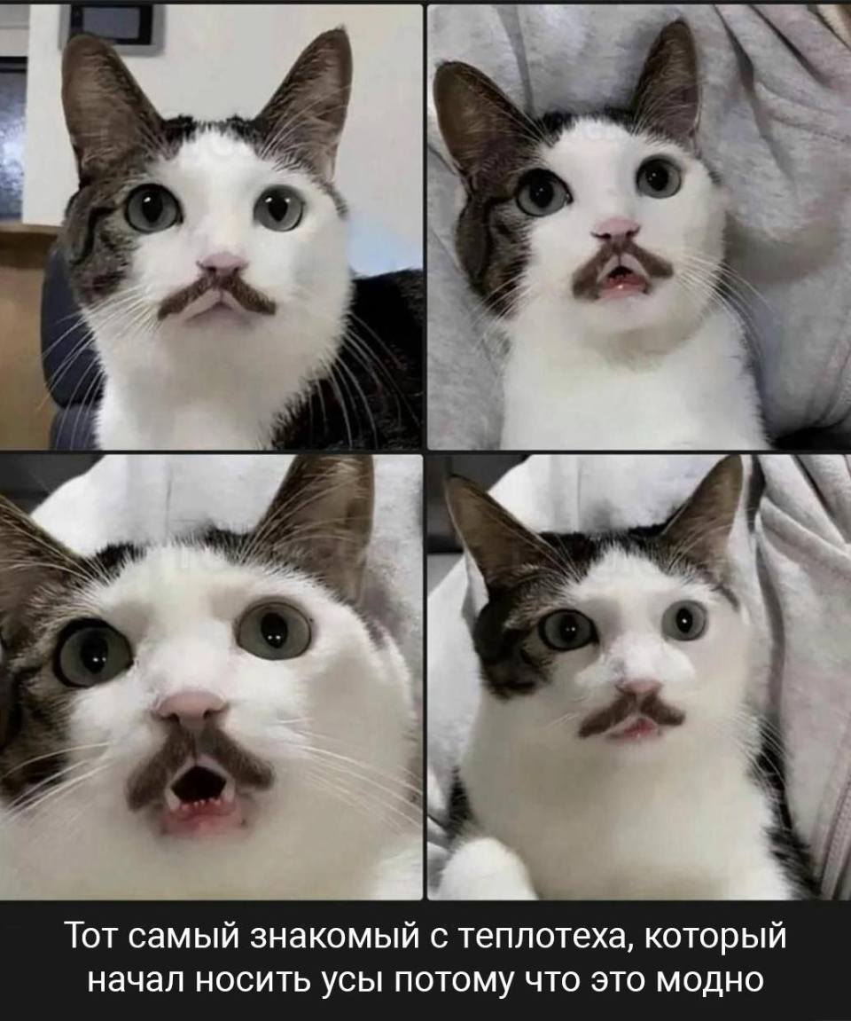 *Тот самый знакомый с теплотеха, который начал носить усы потому что это модно*