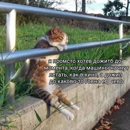 *Я промсто хотев дожитб до момента, когда машины начнут летать, как в кино, а дожил до каково-то говна еб*чево*