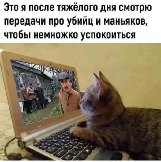 *Это я после тяжёлого дня смотрю передачи про убийц и маньяков, чтобы немножко успокоиться*