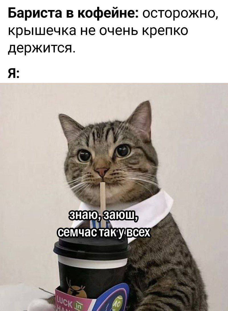 Бариста в кофейне: осторожно, крышечка не очень крепко держится.
Я: Знаю, сейчас у всех так...