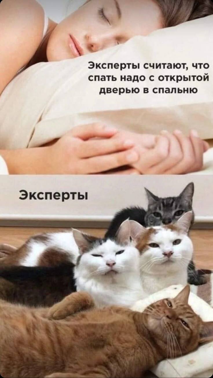*Эксперты считают, что спать надо с открытой дверью в спальню*
*Эксперты*
