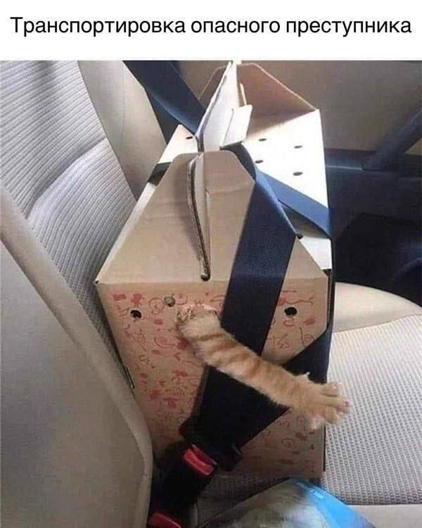 *Транспортировка опасного преступника*